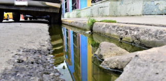 Exhorta SSO a eliminar criaderos de mosquitos en casa