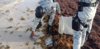 Localizan aparente cocaína entre el sargazo en Quintana Roo