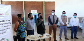 Arrancan los SSO actividades para evitar enfermedades por la picadura de mosquitos