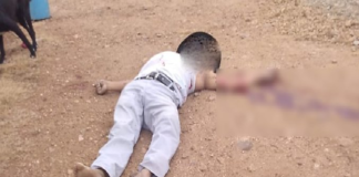 Asesinan a ex guerrillero de la EPR en Xoxocotlán