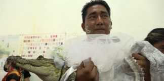 Alcalde de Huamelula se casa con una lagarta viva