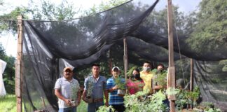Contribuye UTSSO en la protección del medio ambiente de la Sierra Sur de Oaxaca