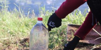 Fortalece UTSSO vínculos solidarios para la protección del medio ambiente en la Sierra Sur