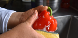 Llama SSO adoptar medidas preventivas para evitar enfermedades gastrointestinales