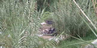 Hombre muere calcinado en el Río Atoyac