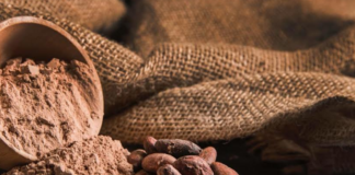 Oaxaca, sede de la celebración del Día Nacional del Cacao y el Chocolate