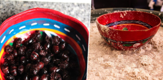 Chicatanas, iguana, nicuatole… 9 platillos exóticos que sólo probarás en Oaxaca