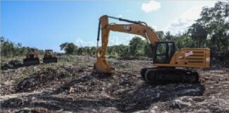Juez niega última suspensión contra construcción del tramo 5 del Tren Maya