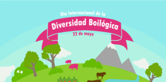 EfeméridesRIO: Día Internacional de los Parques Naturales