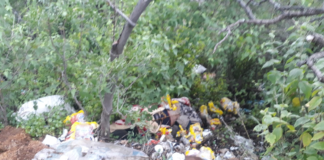 Localizan cadáver de sujeto maniatado en Ejutla