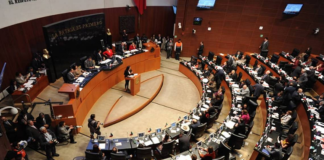 ¿Senado sin coraje?