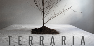 Presenta Ariadna Rojas su primera exposición individual en la CCO