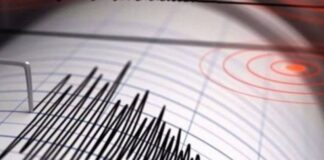 Suman 849 réplicas tras sismo de 7.7 grados: SSN