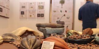 Inauguran exposición “Cacao Postal” en el MUFI