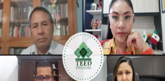 Declara TEEO infundados agravios contra acuerdos para elección de Amatlán