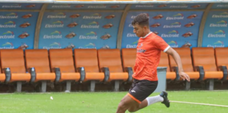 Alebrijes de Oaxaca visita al líder Celaya