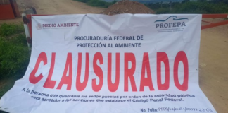 DETRÁS DE LA NOTICIA: Demanda #UNO la solución integral a crisis de la basura