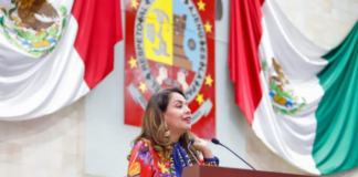 Estudia Congreso reforma para regular instalaciones eléctricas en Oaxaca