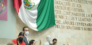 Modifican ley en Oaxaca para prevenir la pérdida de bosques