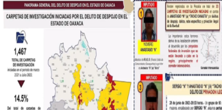 En Oaxaca existen 1467 carpetas de investigación por “cartel del despojo”