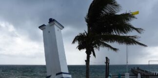 Oaxaca solicitará declaratoria de emergencia por estragos tras paso de “Lester”