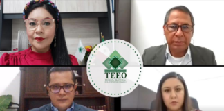 Confirma TEEO decisiones del Consejo Municipal Electoral de Mesones Hidalgo