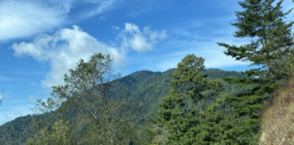 Ejecutan a militante del MULTI en Agua Fría Copala