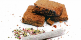 Cuatro estudiantes se intoxican con panes mágicos, en Chiapas