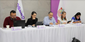 El consejo general del OGAIPO celebra su XIX sesión ordinaria