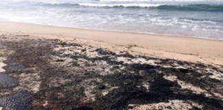 Inspectores ambientales viajan a costas de Oaxaca tras derrame de Pemex