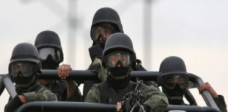 Publica Gaceta del Senado nuevo dictamen para ampliar presencia de FA en las calles hasta 2028