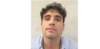 Tres años y una guacamaya después, Sedena indaga el culiacanazo