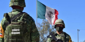 Una Guacamaya y muchos loros