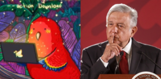 ¿Quién manda aquí?