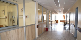 Alertan por ratas y cucarachas en Hospital Civil de Oaxaca