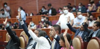 Legisla Congreso contra la violencia digital y obstétrica hacia las mujeres