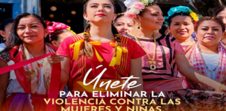 Exhiben a diputada por plagiar fotografía sin permiso