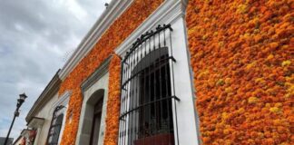 Oaxaca: 10 mil flores de cempasúchil ornamentan fachada monumental