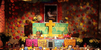 Exhorta IMSS a extremar precauciones al colocar ofrendas por Día de Muertos