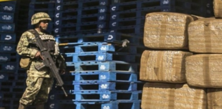 Guacamaya hackers: Sedena identifica 14 grupos del narcotráfico con operaciones en CdMx