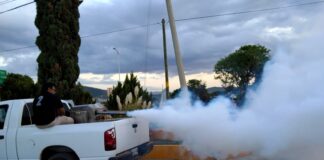 Oaxaca en noveno lugar a nivel nacional por casos de dengue: SSO