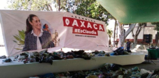 DETRÁS DE LA NOTICIA: Crisis de la basura, compló y el canibalismo futurista