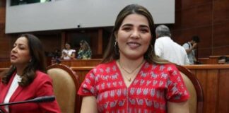 Abandona Elvia Gabriela Pérez al PRI