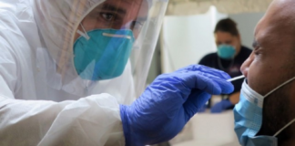 Confirma 16 casos de Perro del Infierno en México