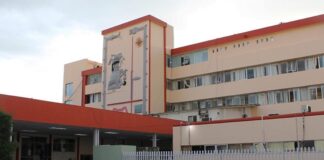 Confirma InDRE presencia del virus rábico en paciente herido por fauna silvestre