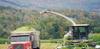 Agroindustria de EU controla el comercio mundial del maíz