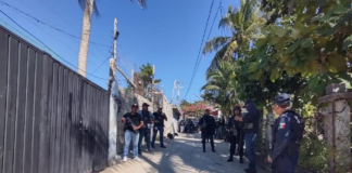 Fiscalía ejecuta cateo en Pochutla; aseguran droga y vehículos