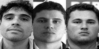 El auge de Los Chapitos