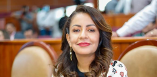 Preside Mariana Benítez Comisión Permanente de Igualdad de Género en el Congreso