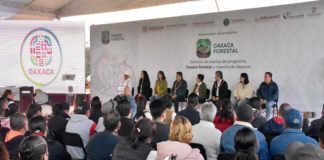 Pone en marcha Gobierno del Estado el programa “Oaxaca Forestal”